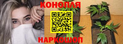 гидра Свободный